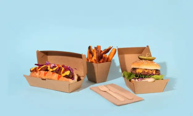 Biodegradable Kraft Food Packaging Boxes for Sustainable Brands