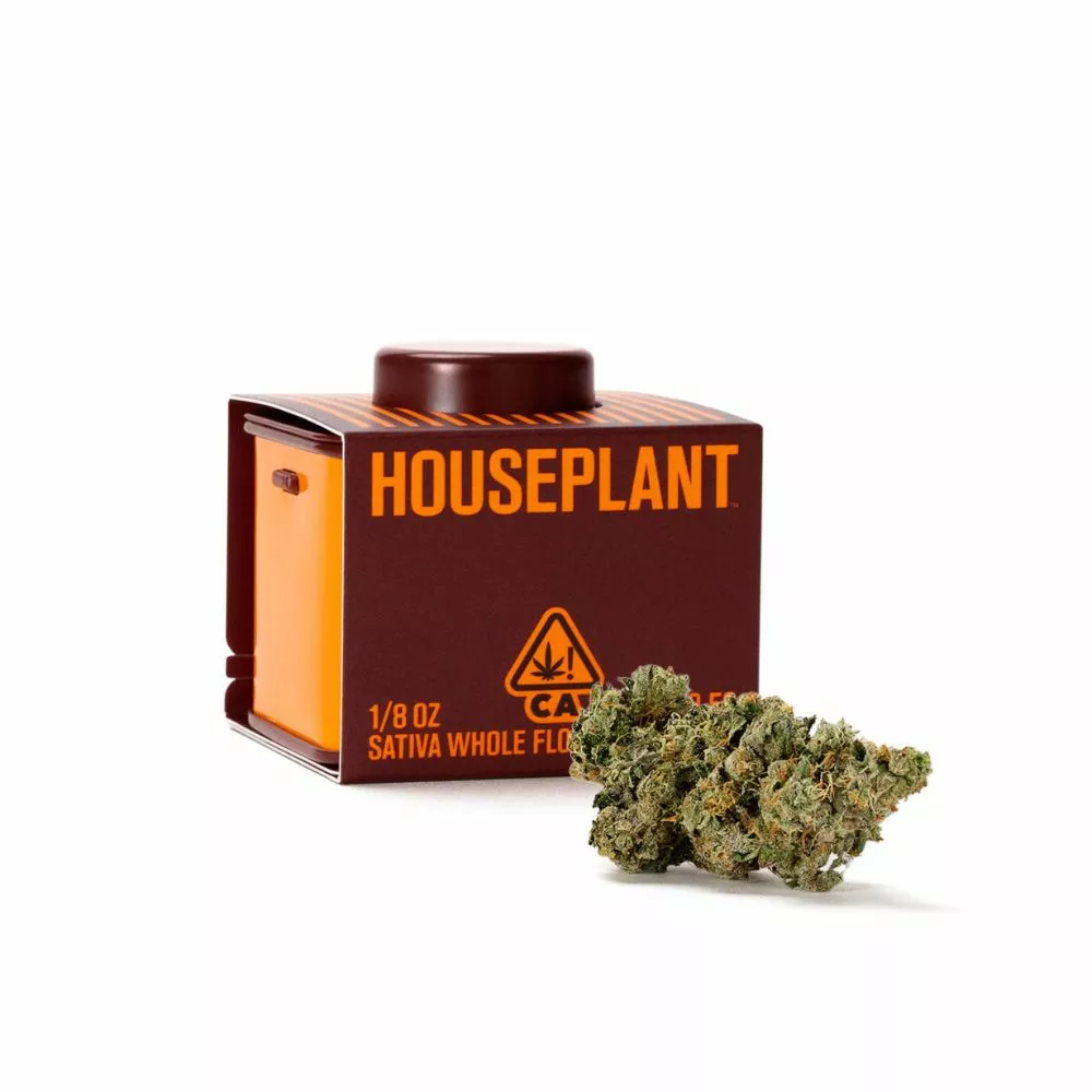 houseplant_sativa_flower.webp