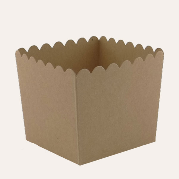 kraft-popcorn-boxes-design