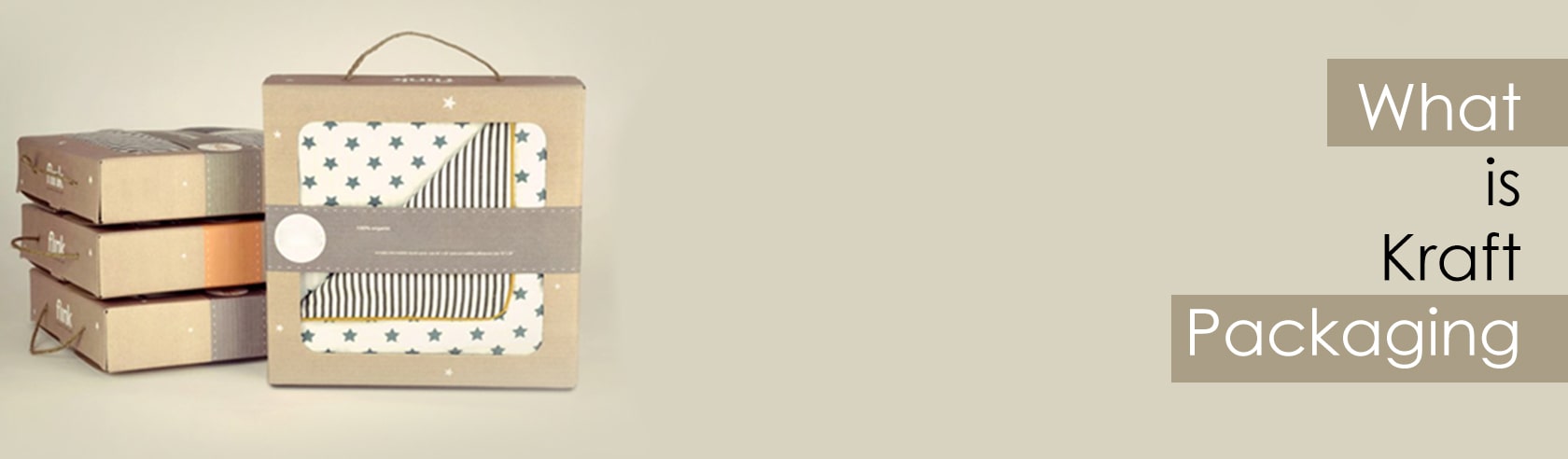 what-is-kraft-packaging-banner-blog