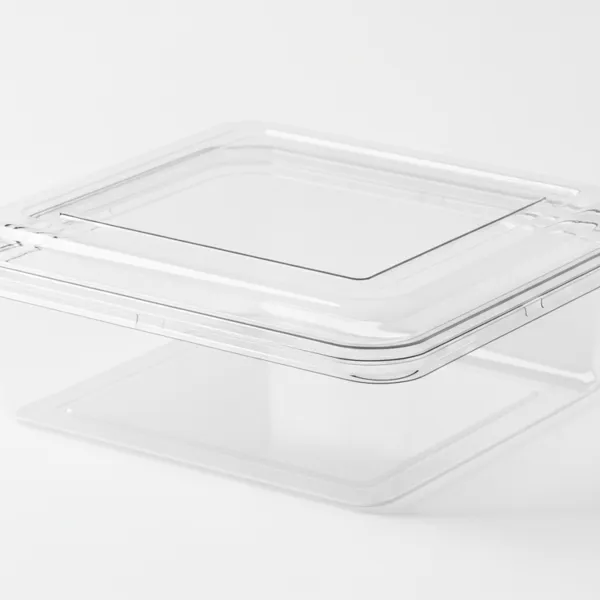 custom clamshell takeout containers