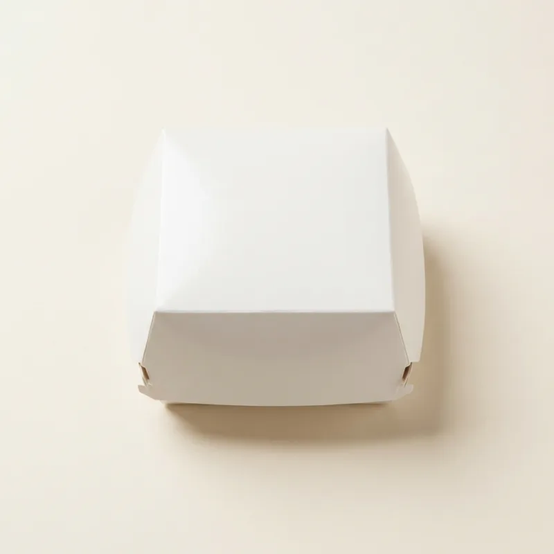 Fast Food Takeout Boxes