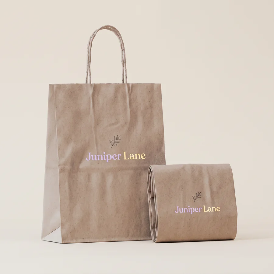 Custom Kraft Takeout Bags