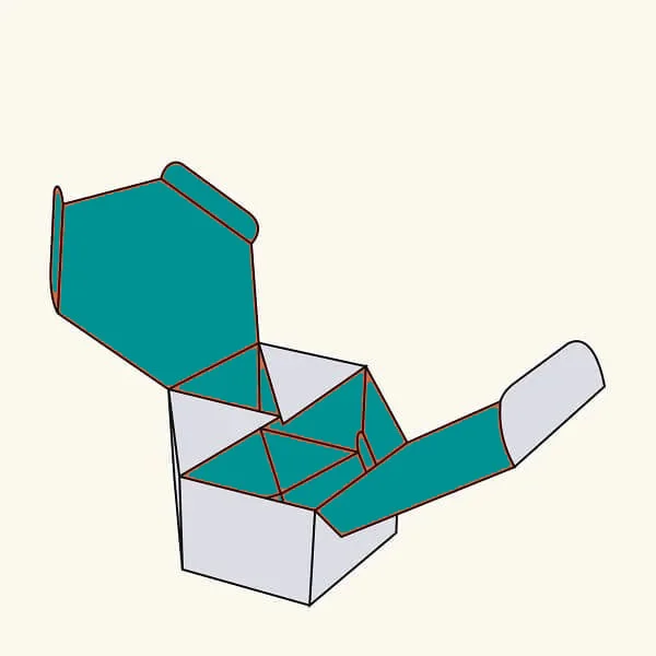 octagon box - main view