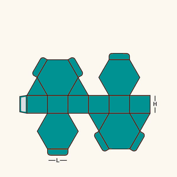 Hexagon view 2